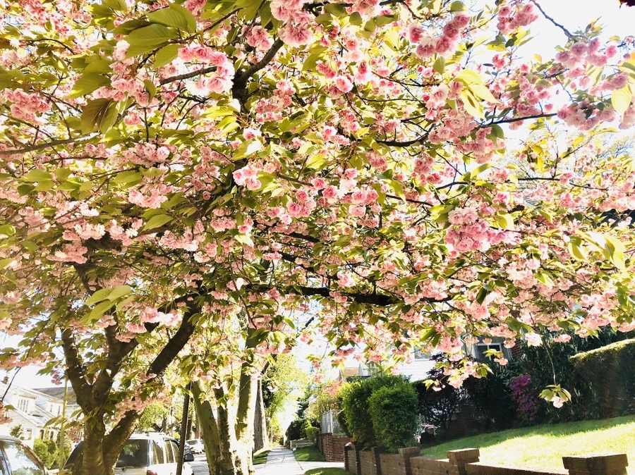 IMG_7254.jpg?type=w966