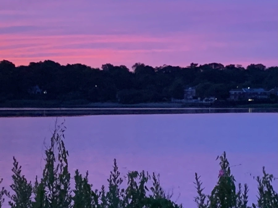 IMG_5812.jpg?type=w966