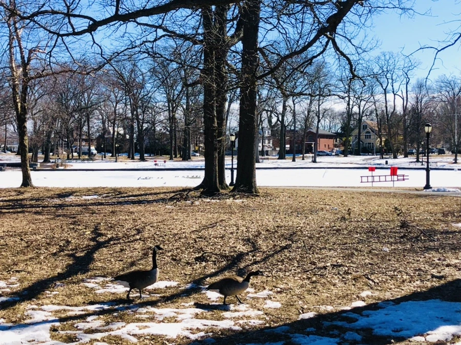 IMG_5018.jpg?type=w966