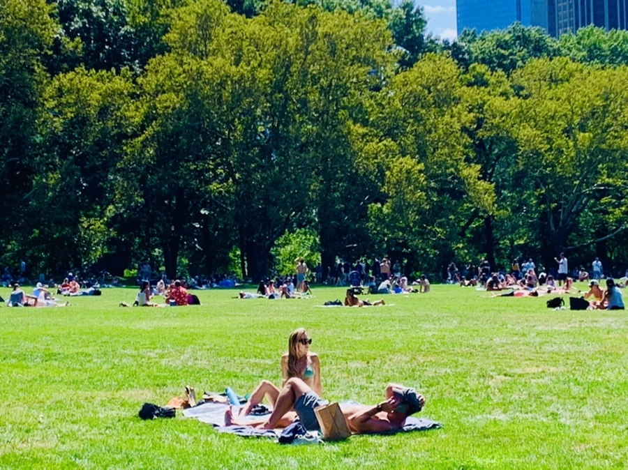 IMG_4371.jpg?type=w966