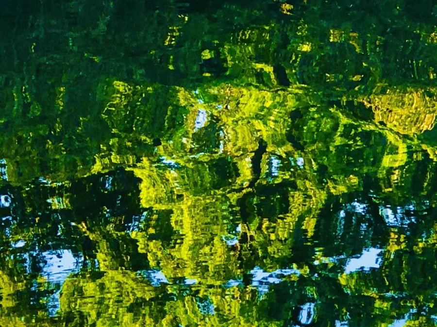 IMG_2621.jpg?type=w966