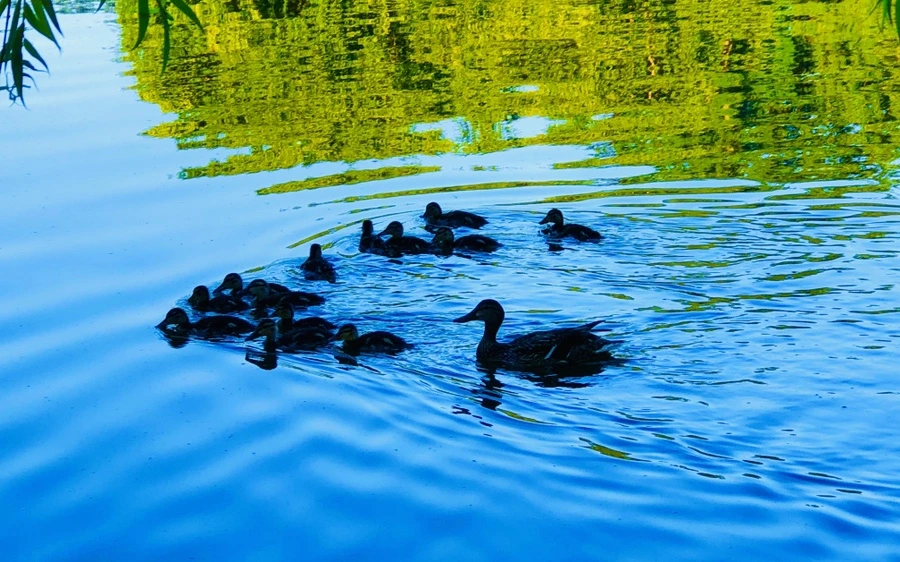 IMG_2578.jpg?type=w966