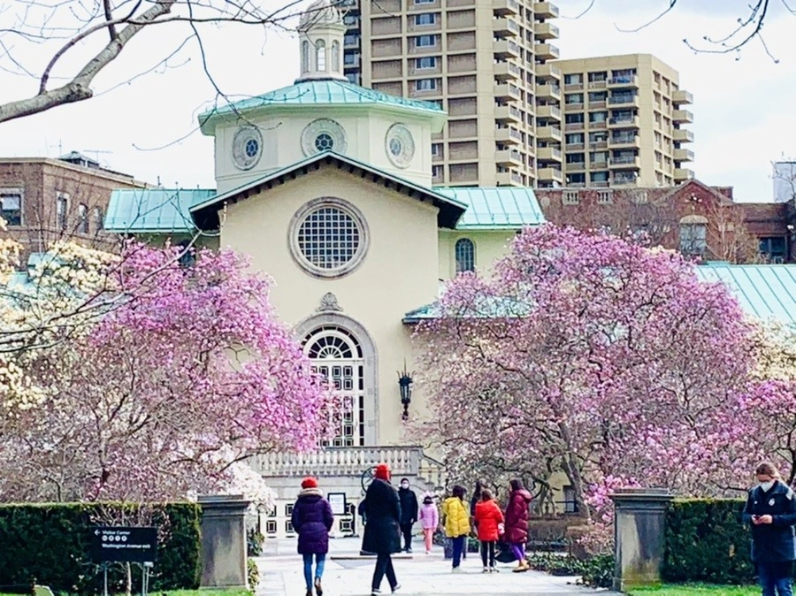 NrIzsrrt2VWjcPPVIQ65aKajEzU