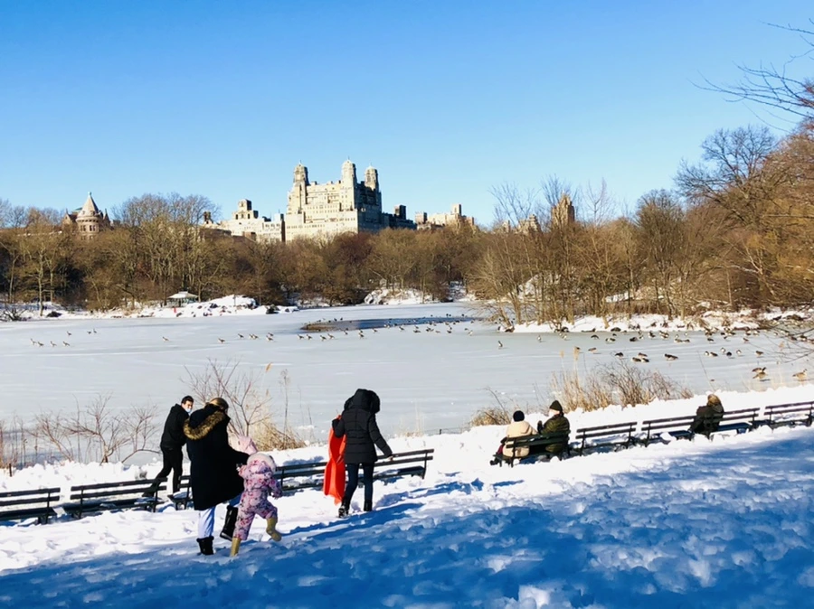 IMG_9804.jpg?type=w966