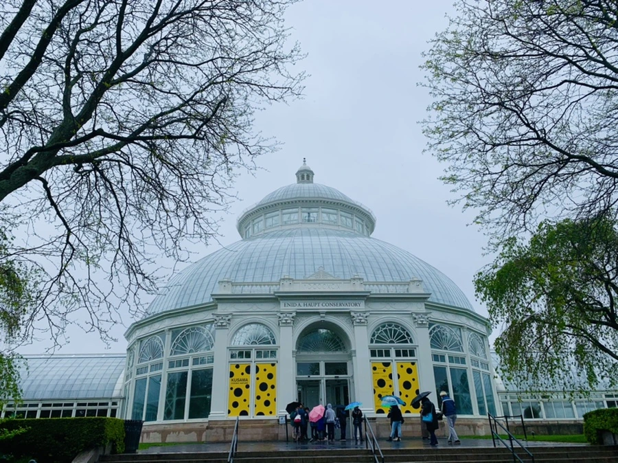 IMG_0335.jpg?type=w966