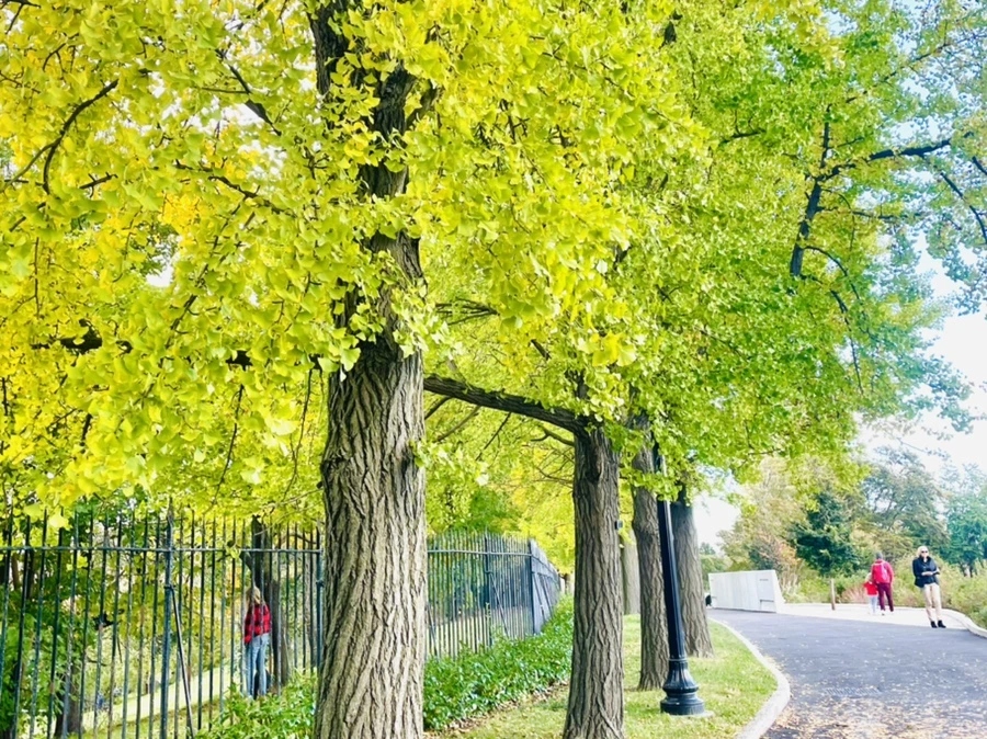 IMG_0138.jpg?type=w966