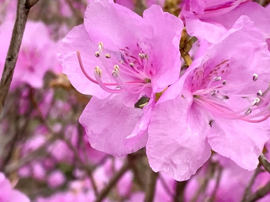 IMG_5983.jpg?type=w966