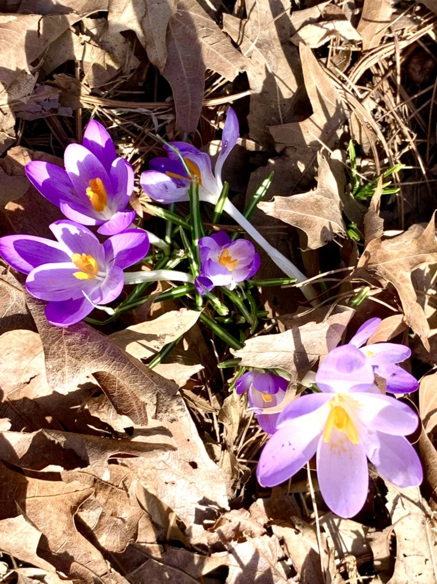 IMG_9613.jpg?type=w966