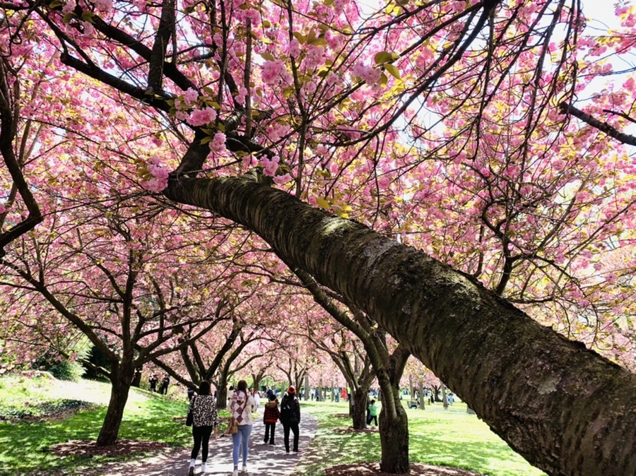 IMG_6450.jpg?type=w966