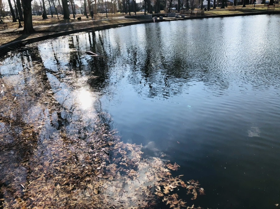 IMG_4110.jpg?type=w966