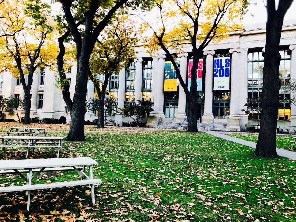 IMG_E1438.jpg?type=w966