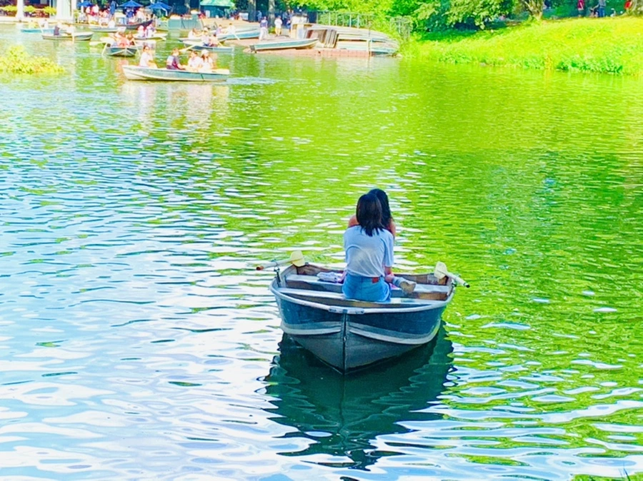 IMG_3488.jpg?type=w966