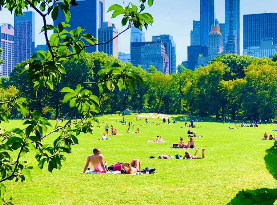 IMG_9352.jpg?type=w966