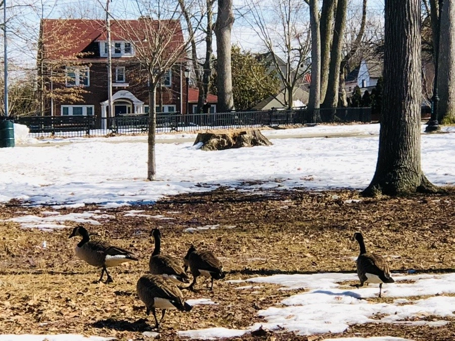 4LgksiIXCsL7lgmOLM5y3BPOyXo