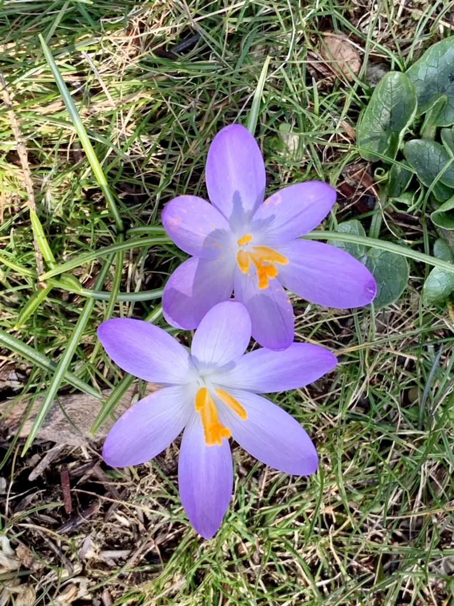 IMG_9228.jpg?type=w966