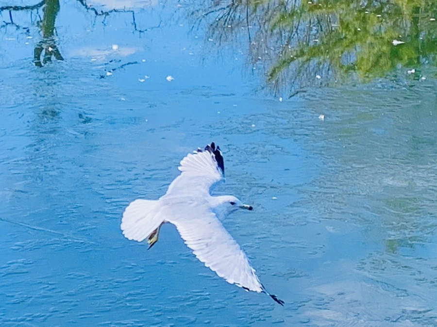 6JnLOH3sWkU7mJmllSM8vLqVUP0