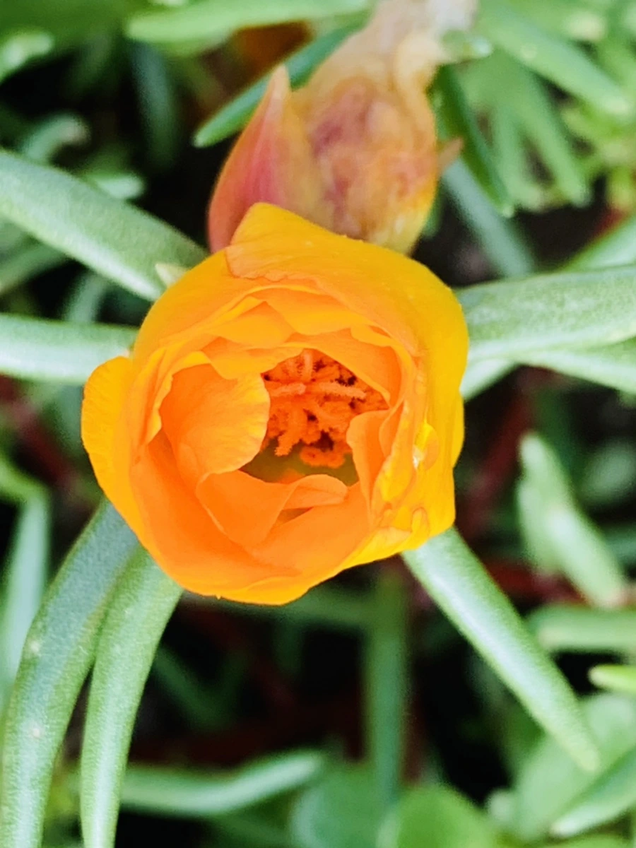 IMG_0354.jpg?type=w966