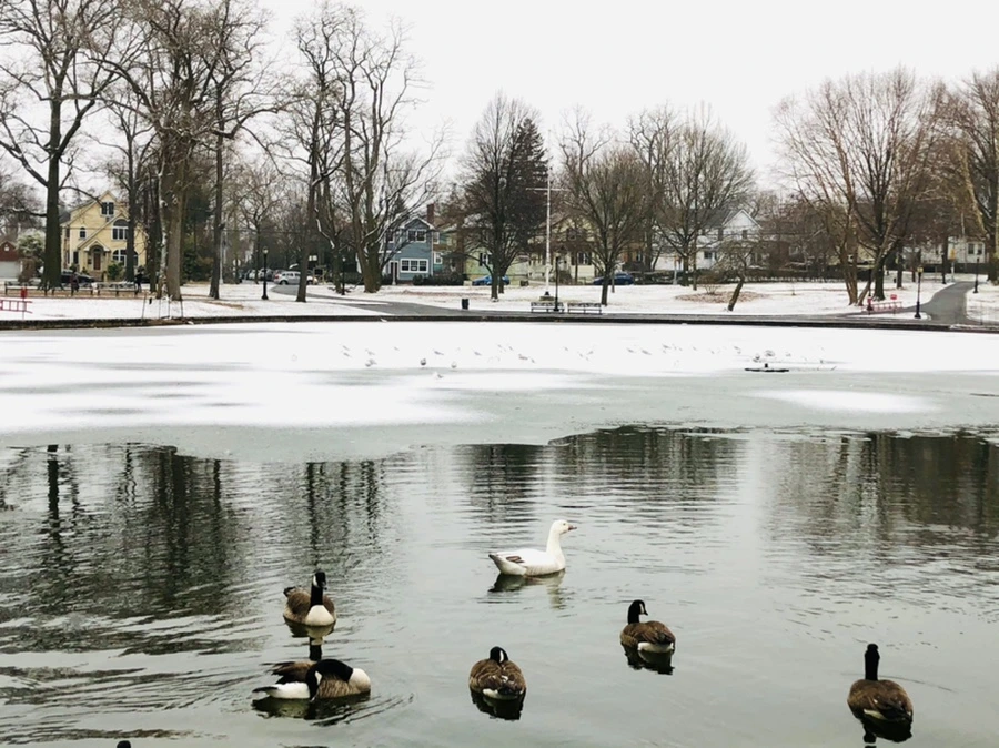 IMG_6249.jpg?type=w966