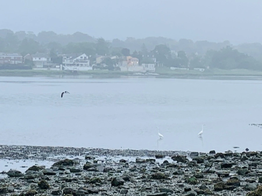 4O6Glc6MObpcnJtxias1xzQkBFQ