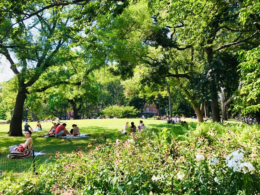 IMG_6374.jpg?type=w966