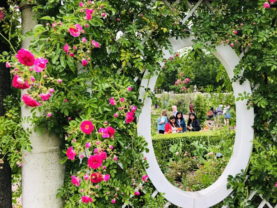 IMG_5873.jpg?type=w966