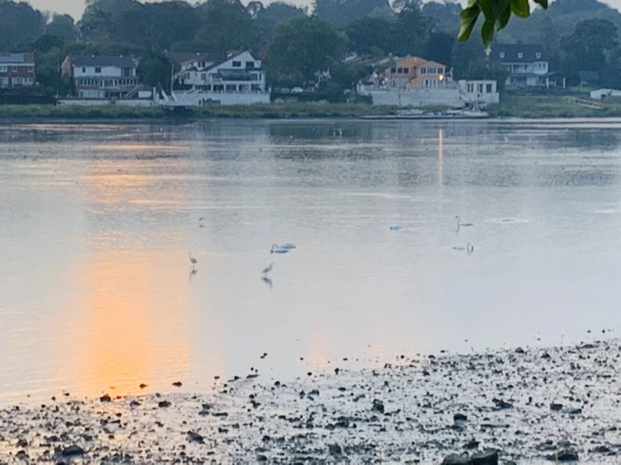 IMG_8198.jpg?type=w966