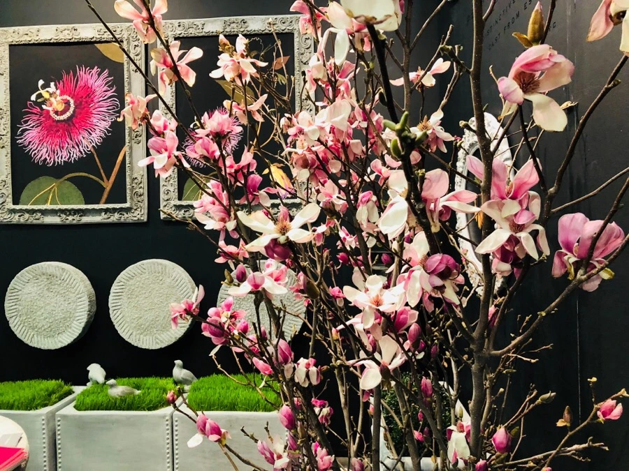 IMG_3626.jpg?type=w966