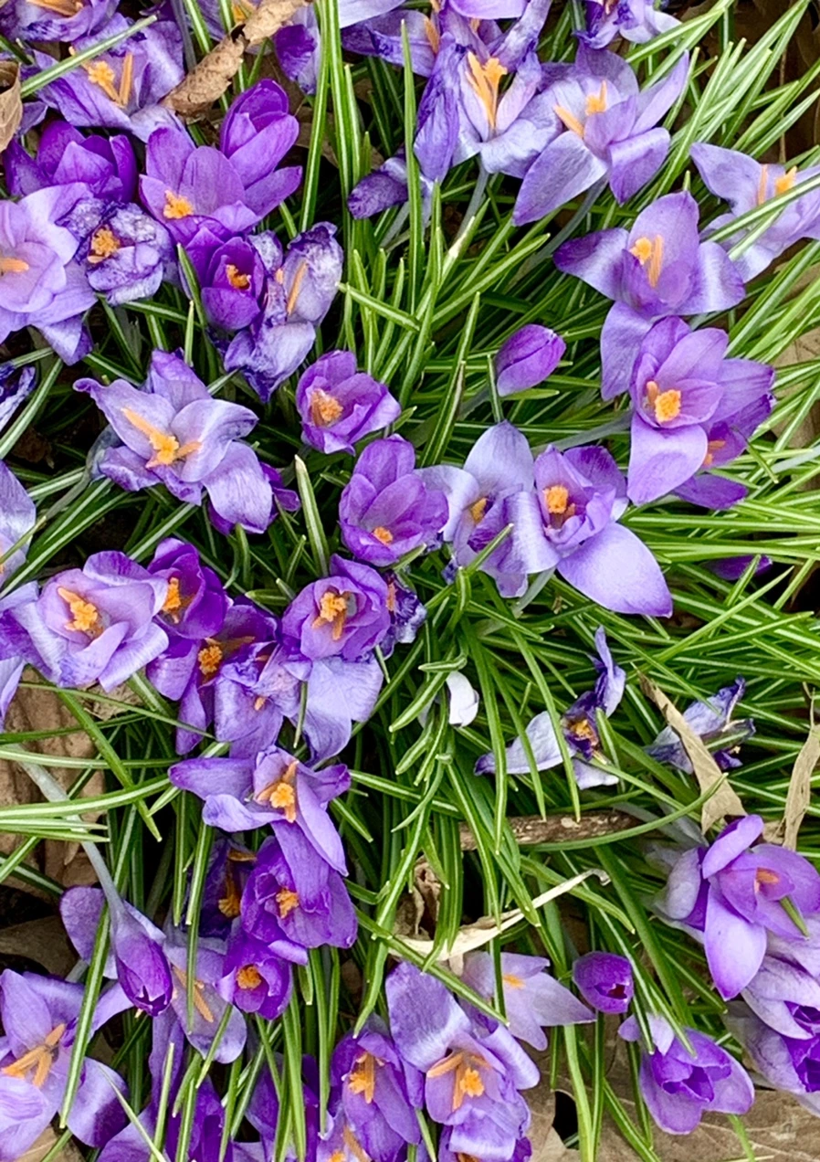 IMG_1719.jpg?type=w966