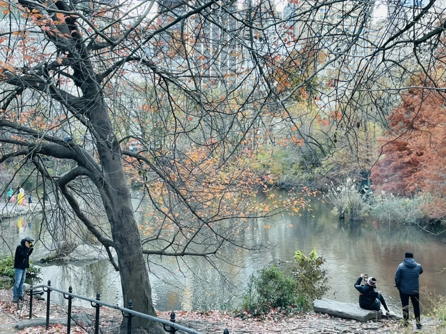 IMG_5032.jpg?type=w966