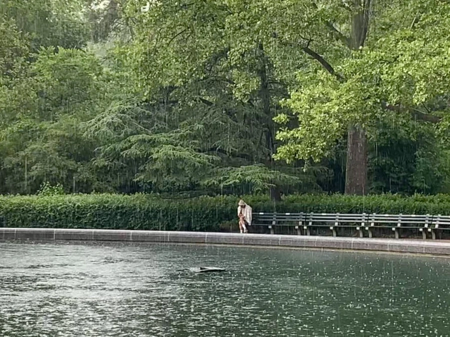 IMG_1742.jpg?type=w966