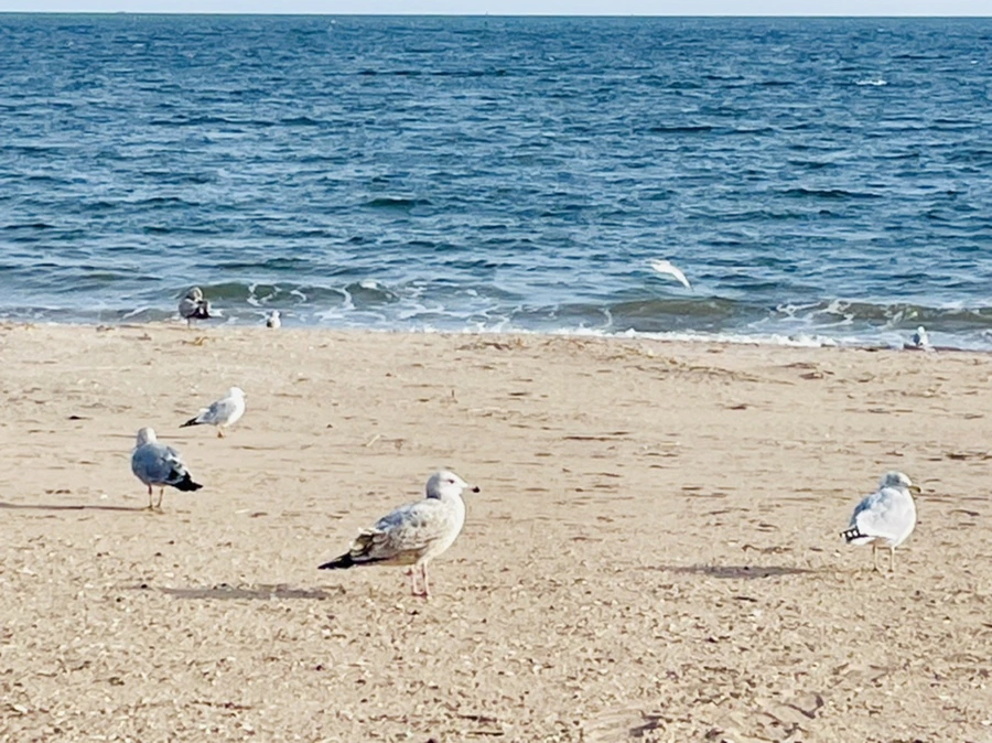 IMG_5069.jpg?type=w966