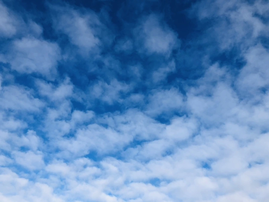 IMG_9856.jpg?type=w966