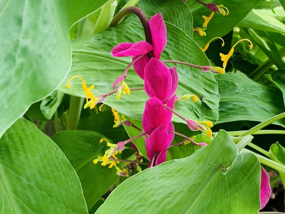 IMG_9389.jpg?type=w966