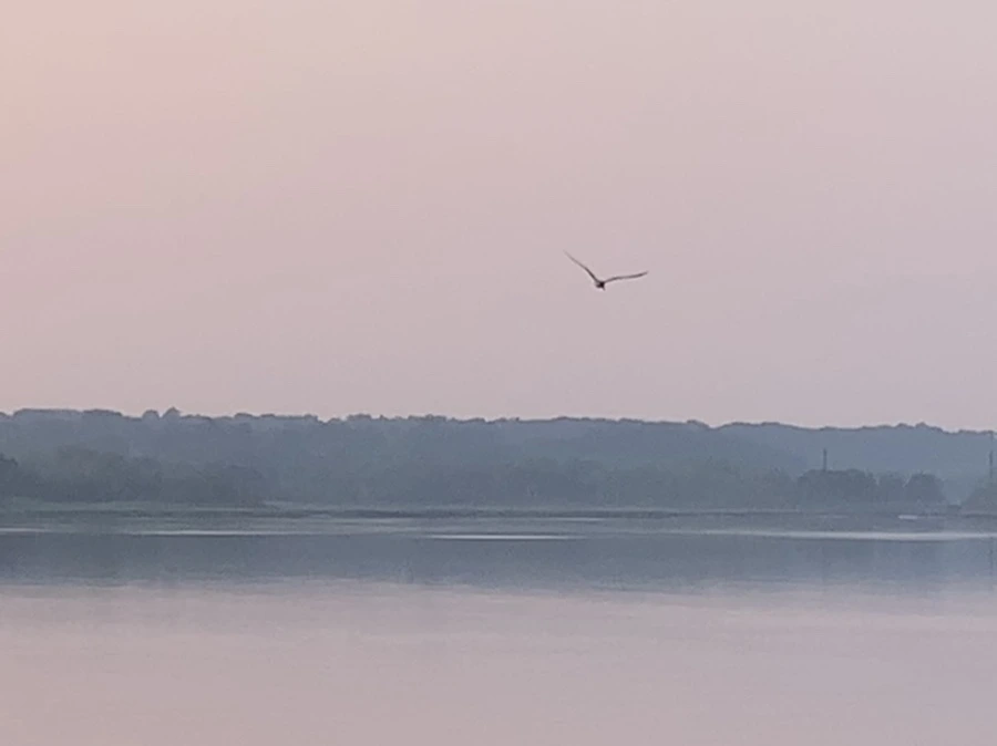 IMG_2069.jpg?type=w966