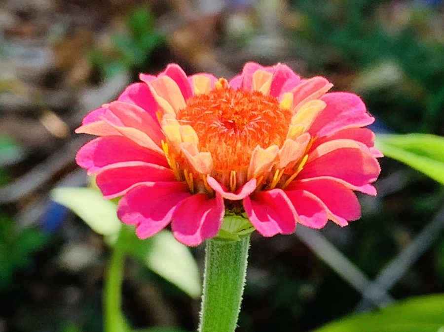 IMG_8731.jpg?type=w966