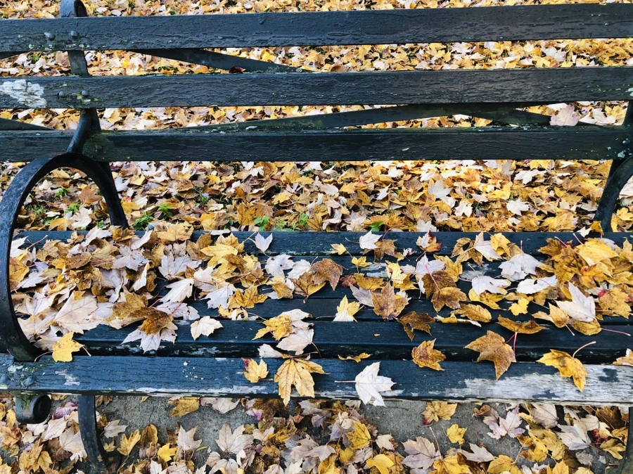 IMG_4104.jpg?type=w966