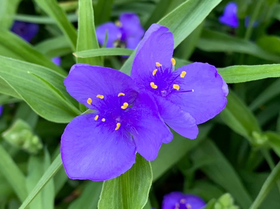 IMG_3512.jpg?type=w966