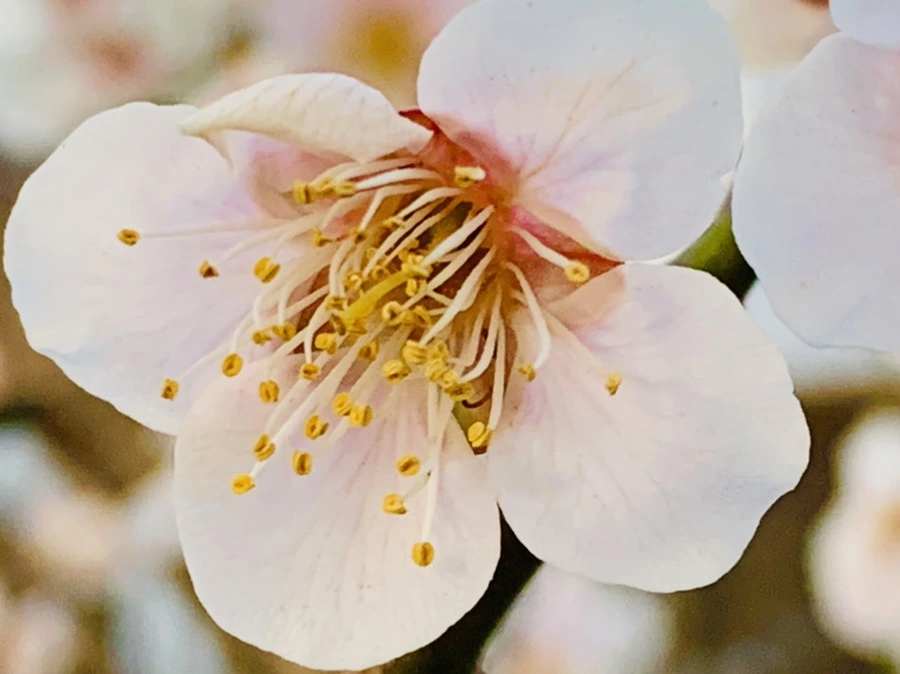 IMG_2839.jpg?type=w966