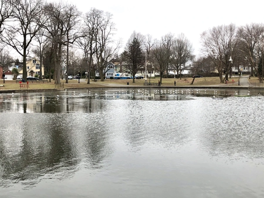 IMG_3227.jpg?type=w966