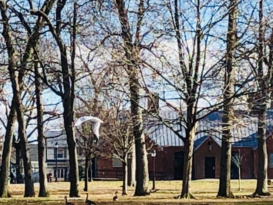 IMG_9224.jpg?type=w966