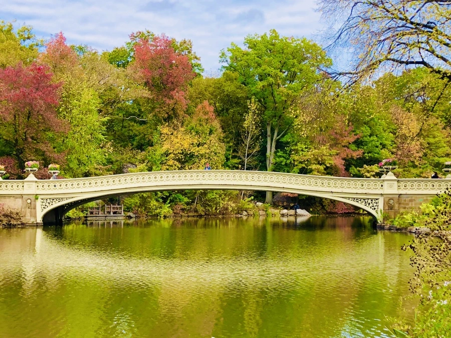 IMG_3046.jpg?type=w966