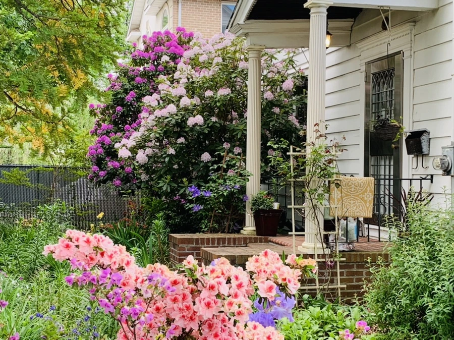 IMG_5477.jpg?type=w966