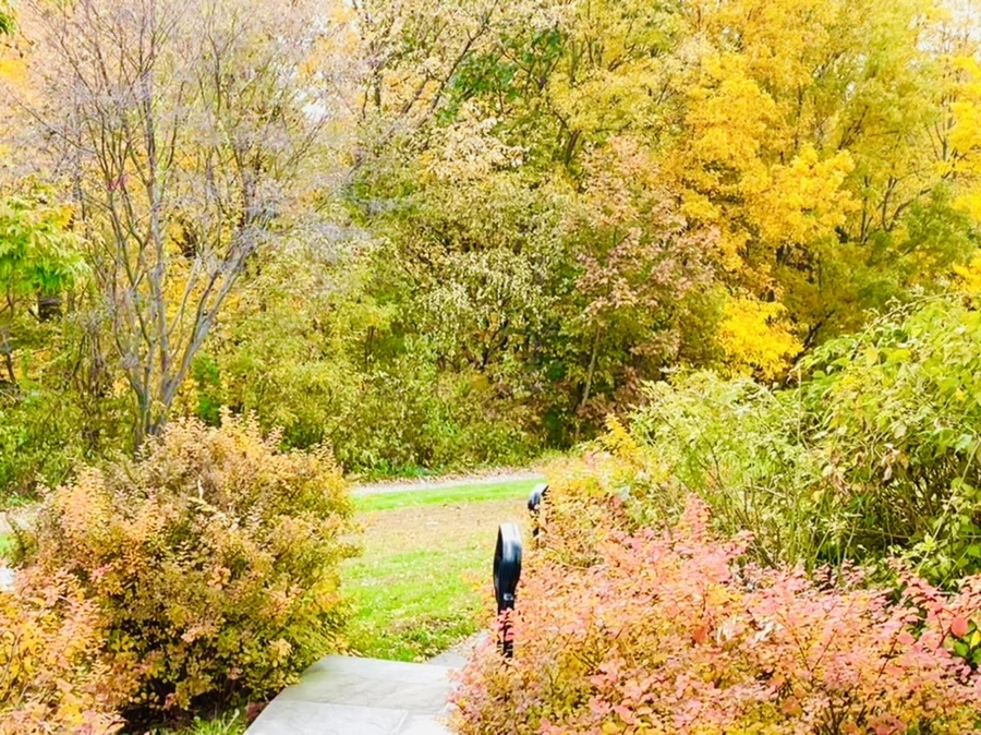 IMG_2349.jpg?type=w966