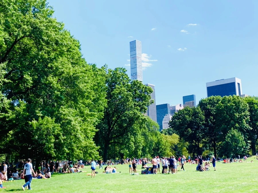 IMG_4379.jpg?type=w966