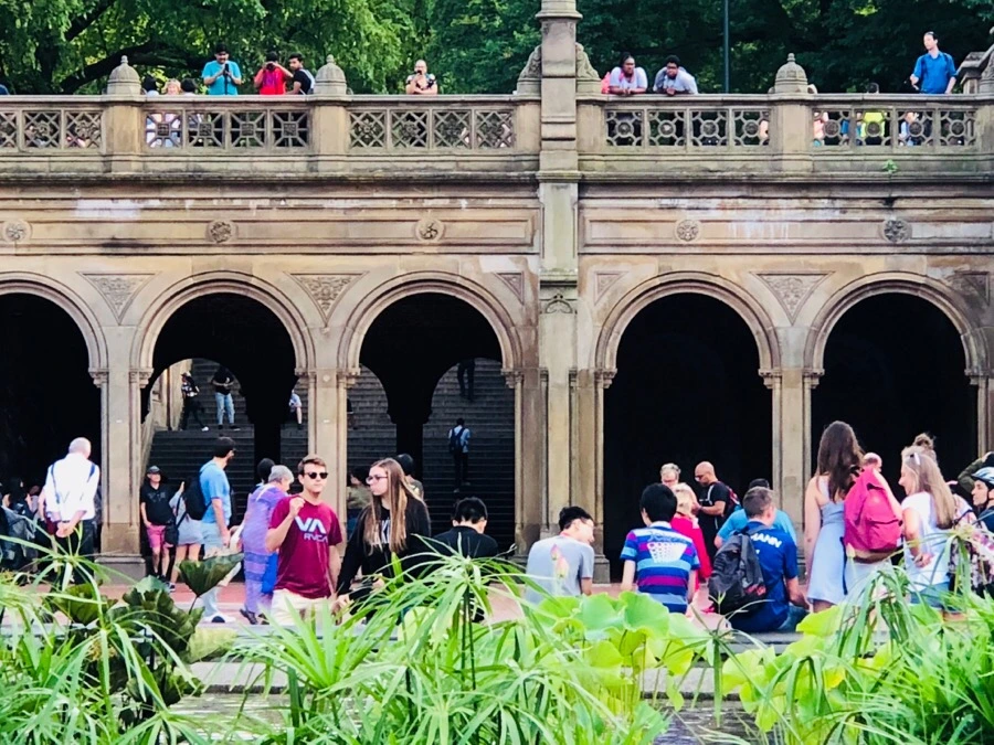 IMG_8770.jpg?type=w966