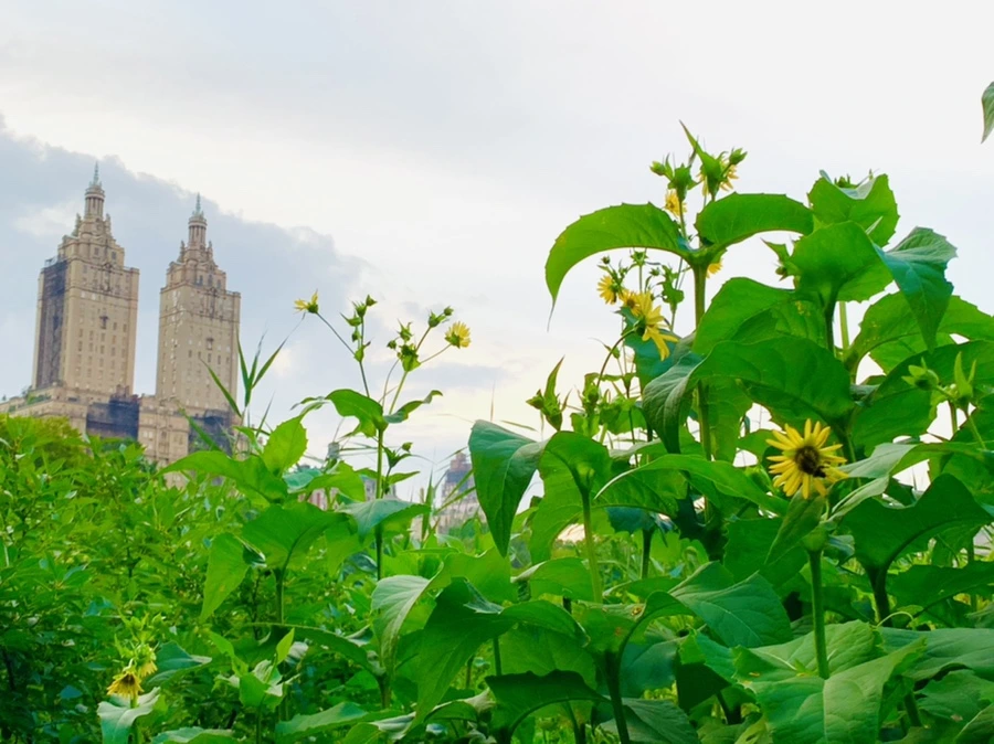 IMG_5599.jpg?type=w966