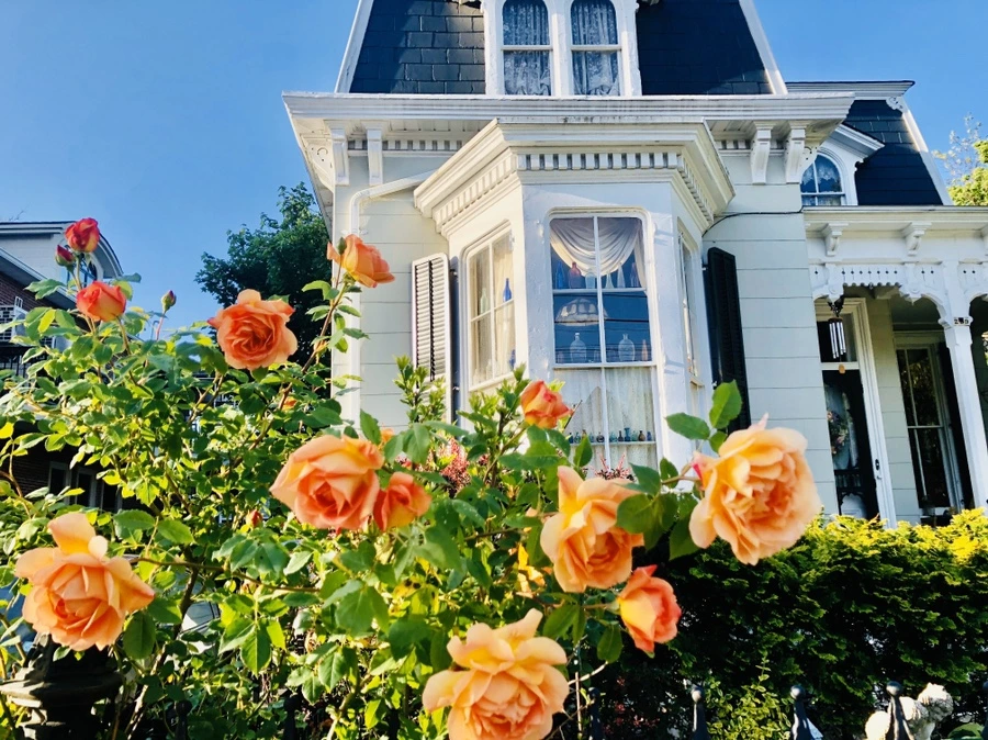 IMG_7406.jpg?type=w966