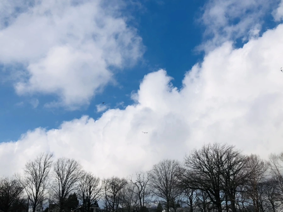 IMG_3513.jpg?type=w966