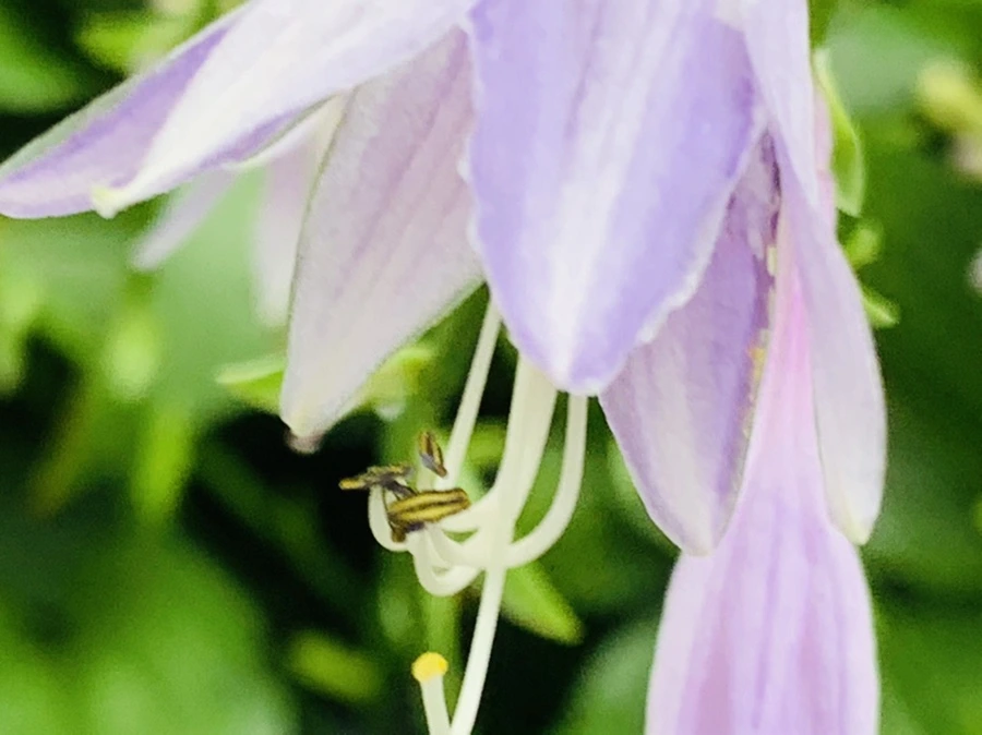 IMG_5989.jpg?type=w966