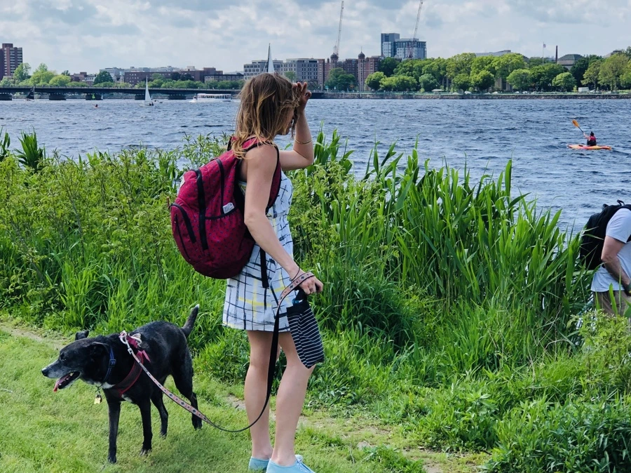 IMG_5241.jpg?type=w966